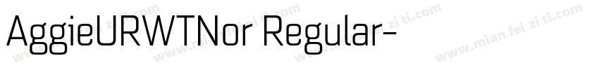 AggieURWTNor Regular字体转换